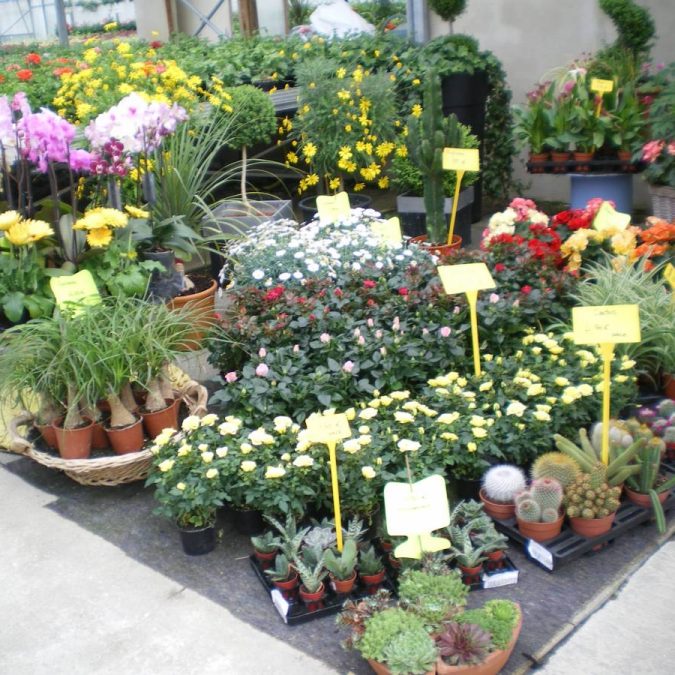 En images Wittenheim 71