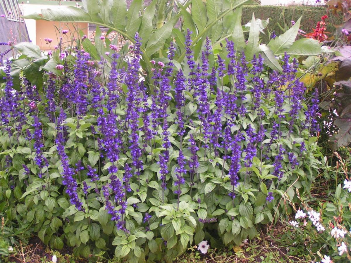 Acheter Le tissu de feutre a augmenté le planteur de lit de jardin plantant  des sacs de culture, matériel durable d'Eco