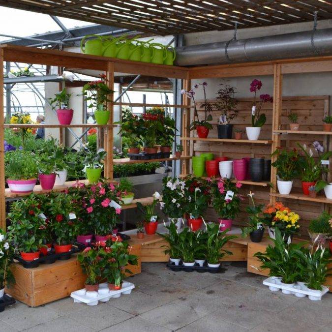 Horticulture Ettwiller : vente de plantes fleuries extérieures à Sainte-Croix-en-Plaine proche de Rouffach Saint-Dié-des-Vosges 0