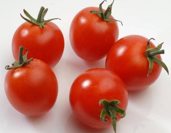 Tomates Colmar 3