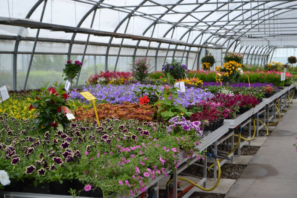 Une entreprise familiale passionnée par l’horticulture Rixheim