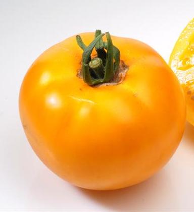 Tomates Riedisheim 5