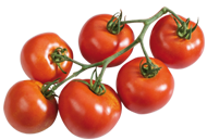 Tomates Kingersheim 11